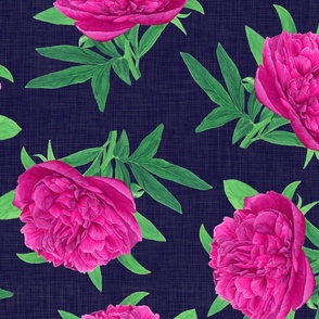 Watercolor Pink Peony on Midnight Blue - Large Scale