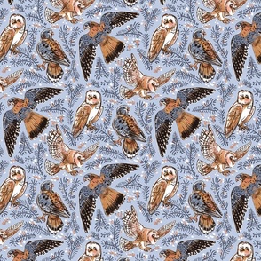 American Kestrel and Barn Owl // Birds of Prey // bunny grey background and orange sparrow hawk falcon flying // SMALL scale, blue