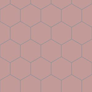 hexagon_salmon_gray