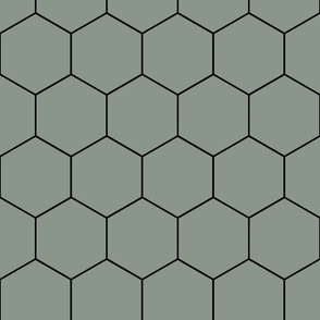 hexagon_sage_green_black