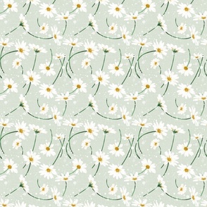 Daisies - April Birth Flower | 6" I on mint green