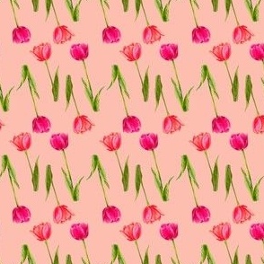 Pink Watercolor Tulips in Peach - (M)