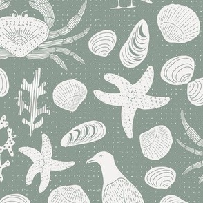 Ocean seaside crabs, shells and birds on the beach  // sage grey green  line drawing // medium