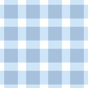 Soft Blue and white  Gingham check large scale
