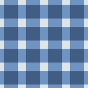 Gingham Check in Blue Ridge and Eggshell Blue large scale
