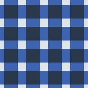 Gingham check in Navy, Delft blue and Eggshell Blue, large scale