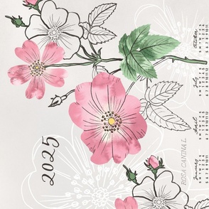 2024 Calendar, Sunday / Botanical Illustration Rosa Canina