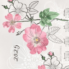 German 2024 Calendar, Monday / Botanical Illustration Rosa Canina