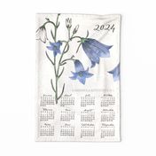 German 2024 Calendar, Monday / Botanical Illustration Campanula Rotundifolia