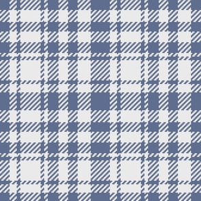 Simple Tartan white Blue Nova