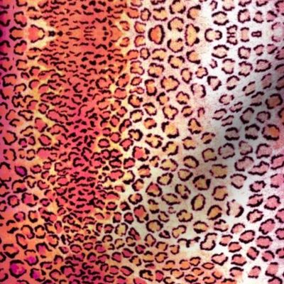 pink leopard small print