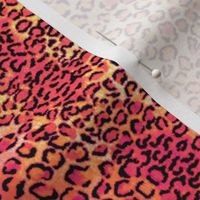 pink leopard small print