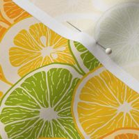 Overlapping Citrus Slices