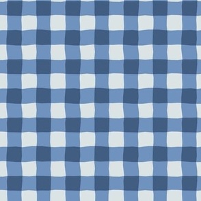 Gingham check  hand drawn medium scale kitchen decor, table linens and more in blue ridge blue and white