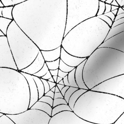 Spider Web - White