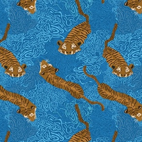 Swimming tigers