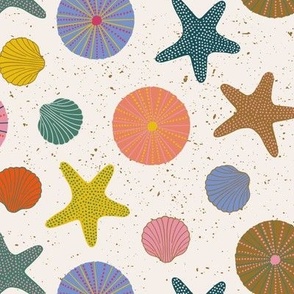 Colorful Seashells Gold Yellow Pink Teal Periwinkle Tomato Red Starfish Beach Sand Sea Urchin Large Scale