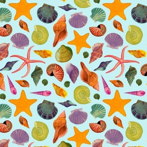 Colorful Shell Pattern by Courtney Graben