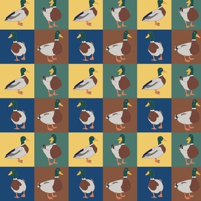 Mallard Ducks Pattern by Courtney Graben