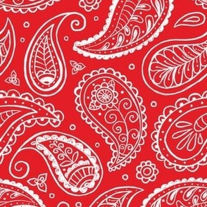 Hand-drawn non-directional paisley red