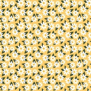 daisies-yellow