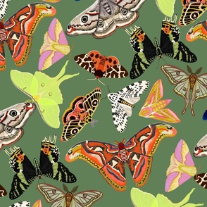 Moths Wallpaper Moths and butterflies design by Andrea Lauren