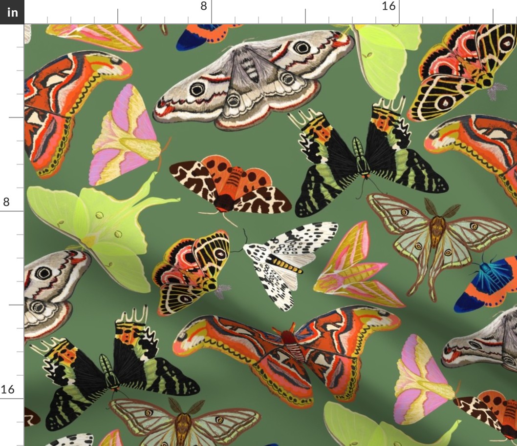 Moths Wallpaper Moths and butterflies design by Andrea Lauren
