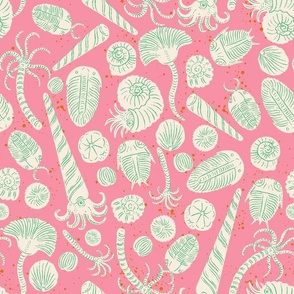 Fossils - Pink and Green