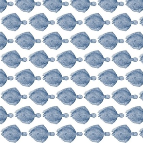 Vintage looking Flounder Illustration - Navy Blue and White (mid -size) 