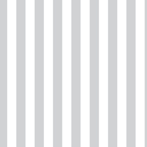 Vertical Cabana Stripe Narrow | Gray