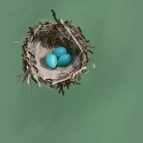 Robin's Nest (Non-directional)