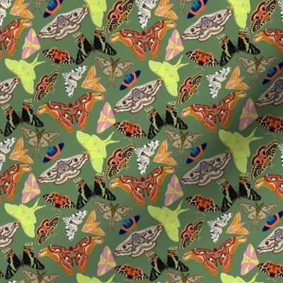 SMALL Moths wallpaper fabric - emperor moth_ luna moth_ tiger moth_ sunset moth 4in