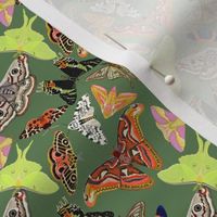 SMALL Moths wallpaper fabric - emperor moth_ luna moth_ tiger moth_ sunset moth 4in