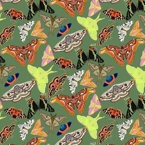 SMALL Moths wallpaper fabric - emperor moth_ luna moth_ tiger moth_ sunset moth 4in