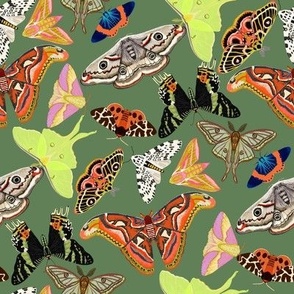 LARGE Moths wallpaper fabric - emperor moth_ luna moth_ tiger moth_ sunset moth 8in