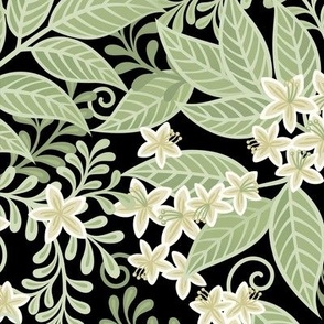 Blooming Orchard Wallpaper- Orange Blossoms- Black Background- Citrus Blossoms- Spring- Calm Fresh Flowers and Leaves- Sage and Vanilla- Small