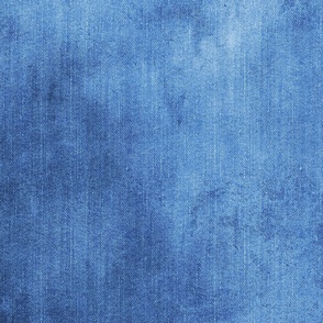 Faded Denim Reverie Blue Jeans Stylish Texture