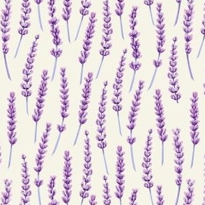 Lavender Pattern
