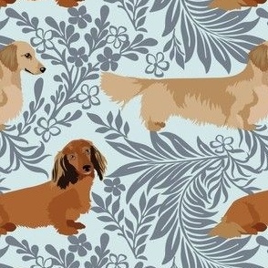 Long Haired Dachshunds with small flowers and leaves 