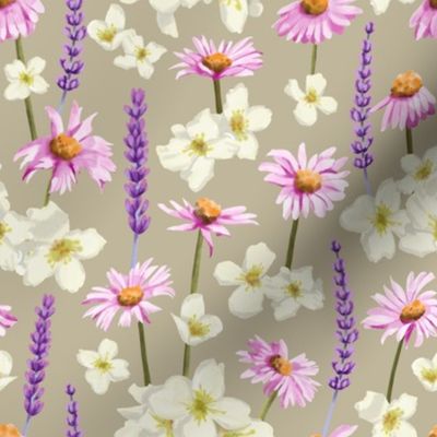 Meadow Flowers on Gray Background