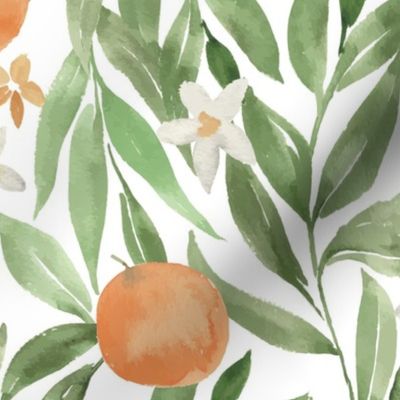 French Country muted watercolor oranges / large /  orange blossom flowers and green leaves on white