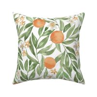 French Country muted watercolor oranges / large /  orange blossom flowers and green leaves on white