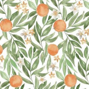 French Country muted watercolor oranges / large /  orange blossom flowers and green leaves on white