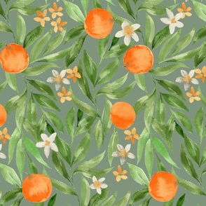 Watercolor oranges on sage with orange blossom flowers and green painterly leaves, for kitchen, linen and wallpaper