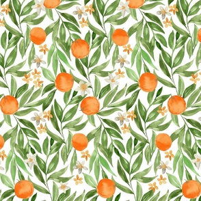 Watercolor oranges on white with orange blossom flowers and green painterly leaves, for kitchen, linen and wallpaper