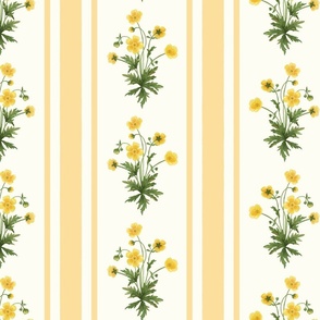 Floral  stripe and vertical stripe with yellow buttercups with sunflower yellow