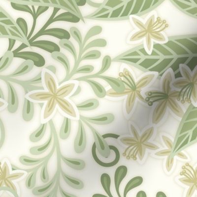 Blooming Orchard Wallpaper- Orange Blossoms- White Background- Citrus Blossoms- Spring- Calm Fresh Flowers and Leaves- Sage and Vanilla- Medium