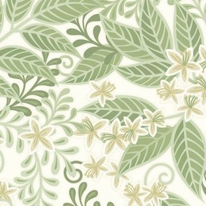 Blooming Orchard Wallpaper- Orange Blossoms- White Background- Citrus Blossoms- Spring- Calm Fresh Flowers and Leaves- Sage and Vanilla- Small