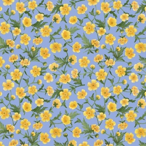  Yellow buttercups trailing floral watercolor pattern on forget-me-not blue