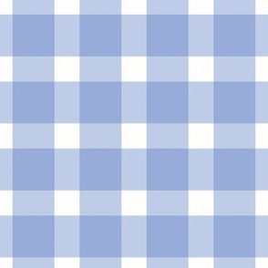 Gingham check in Forget-me-not Blue and white fabric, large scale 